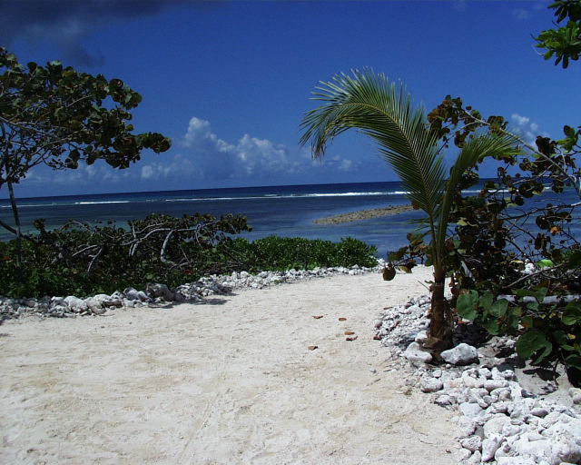 1a White Sand.jpg