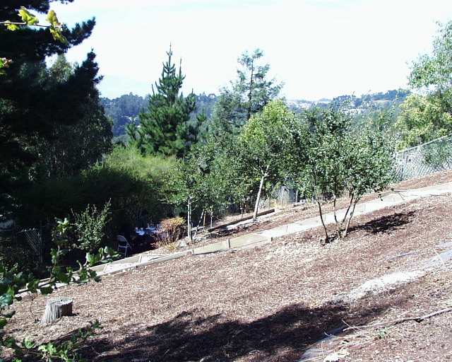 Image 28.jpg