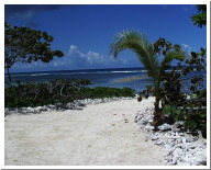 1a White Sand